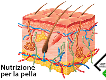 cibo pele lorenzo bergami